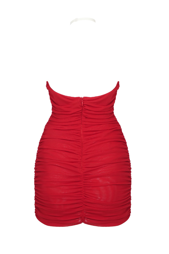 Darva Floral Gathered Mesh Mini Dress