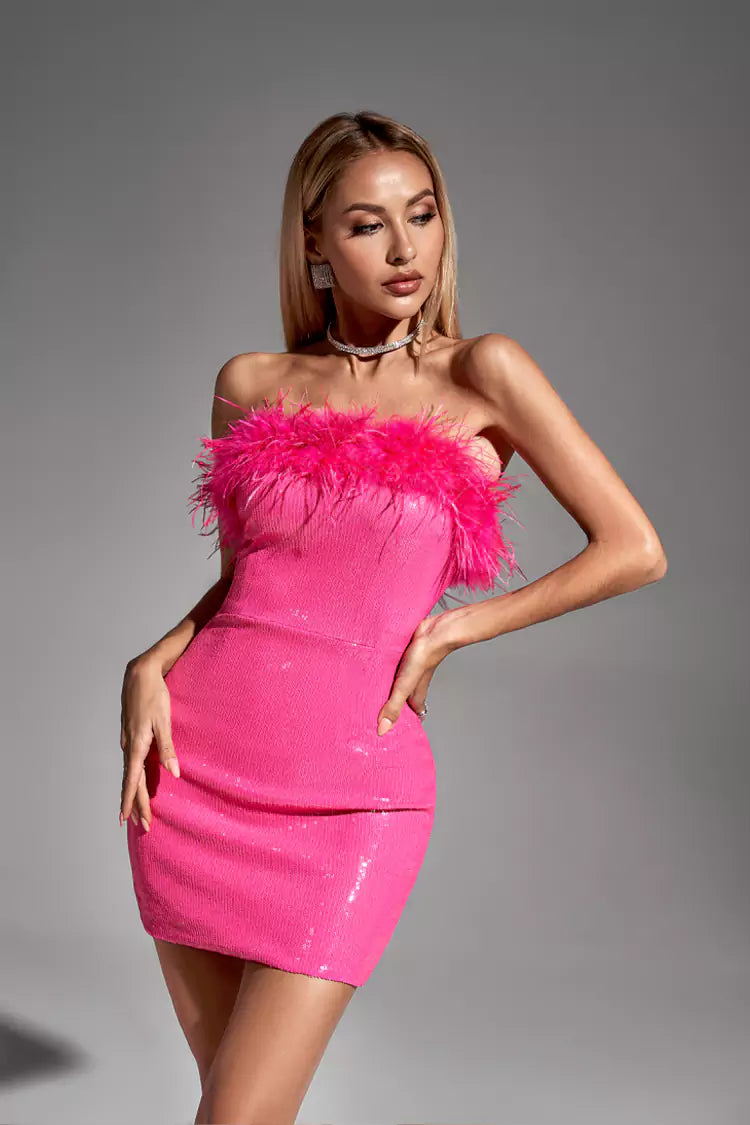 Narnia Pink Feather Mini Dress Night Novas
