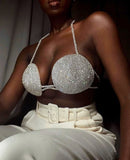 Janet Spiral Crystal Bustier Top In Silver