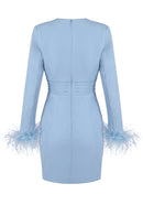 Zavryn Feather Long Sleeve Mini Dress
