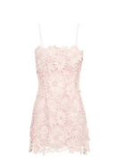 Cordis Floral Lace Mini Dress In Pink