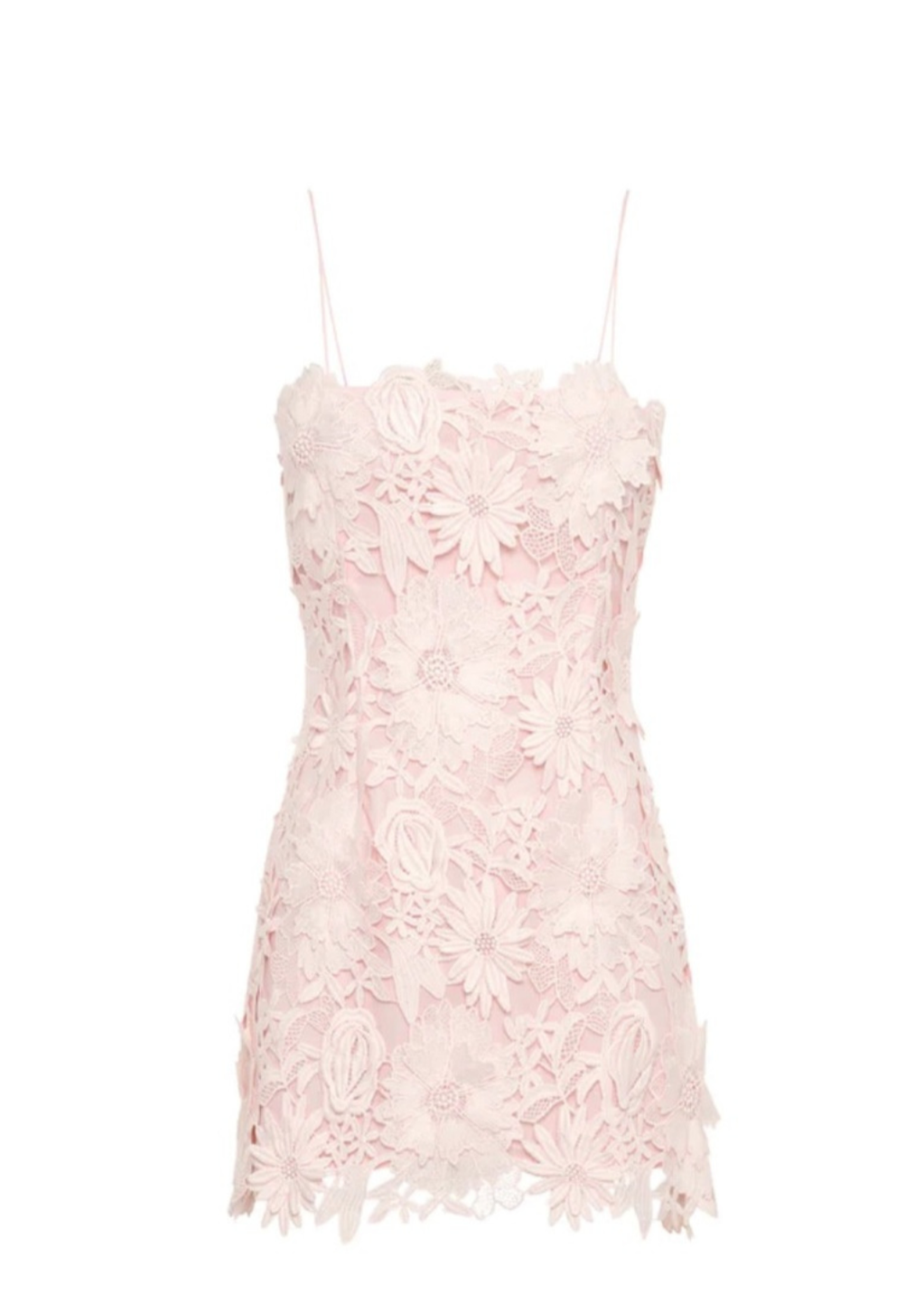 Cordis Floral Lace Mini Dress In Pink