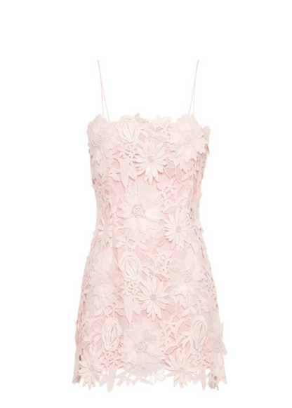 Cordis Floral Lace Mini Dress In Pink