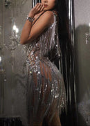 Clauda Sequin Fringe Mini Dress