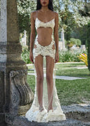 Ferdo Lace Mesh Maxi Dress In Black