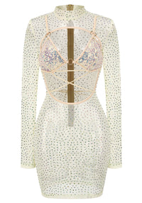 Laurinete Long Sleeve Sequin Crystal Mini Dress In Ivory
