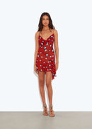 Ciresto Printed Mini Dress