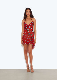 Ciresto Printed Mini Dress