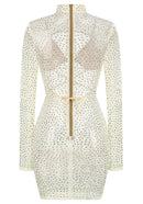 Laurinete Long Sleeve Sequin Crystal Mini Dress In Ivory