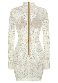 Laurinete Long Sleeve Sequin Crystal Mini Dress In Ivory