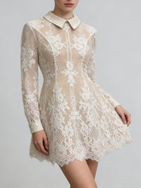 Celestyn Apricot Floral Lace Mini Dress