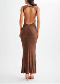 Aelithar Mesh Insert Sparkly Backless Maxi Dress In Brown