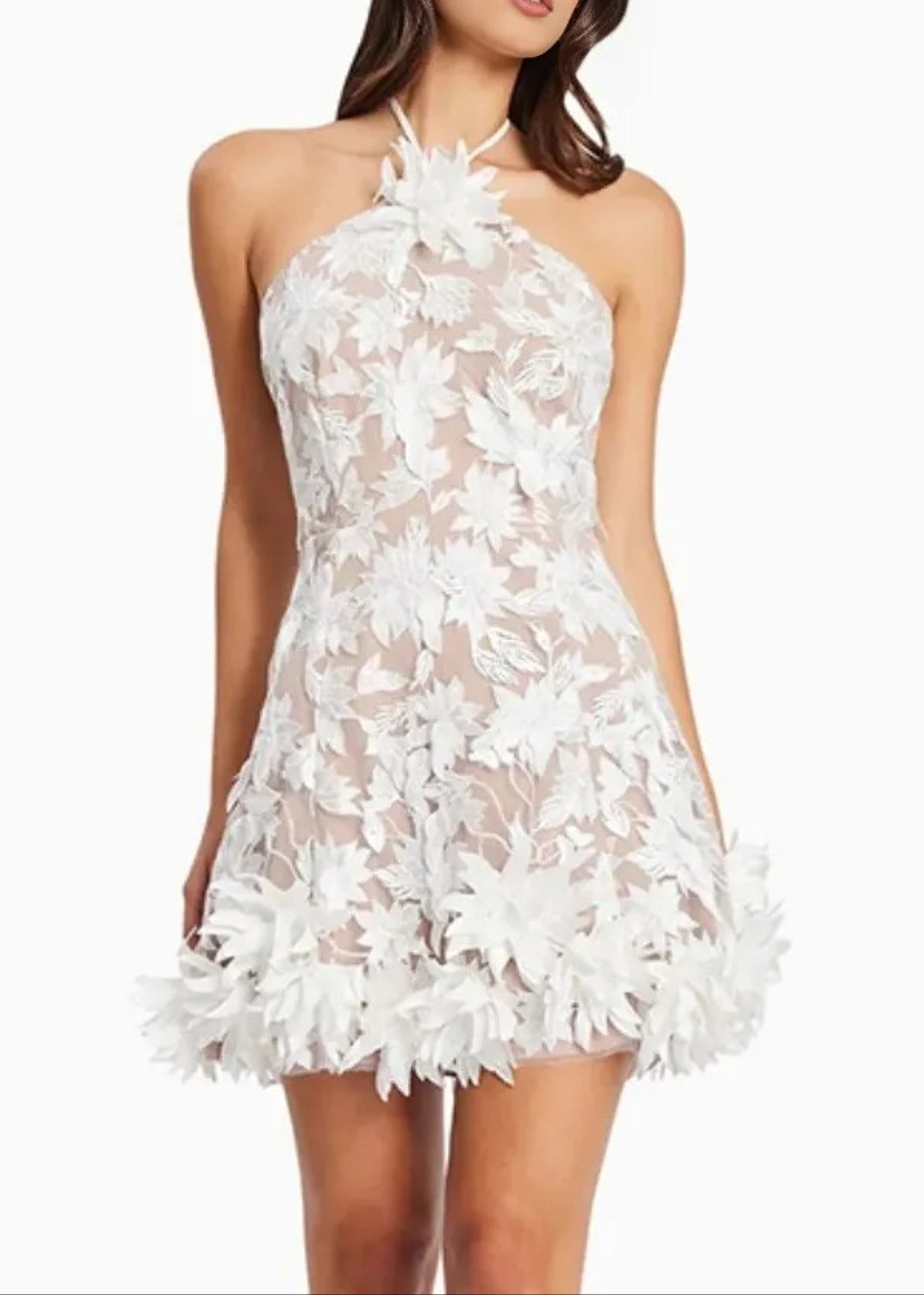 Raziya Halter Floral Embroidered Mini Dress In White