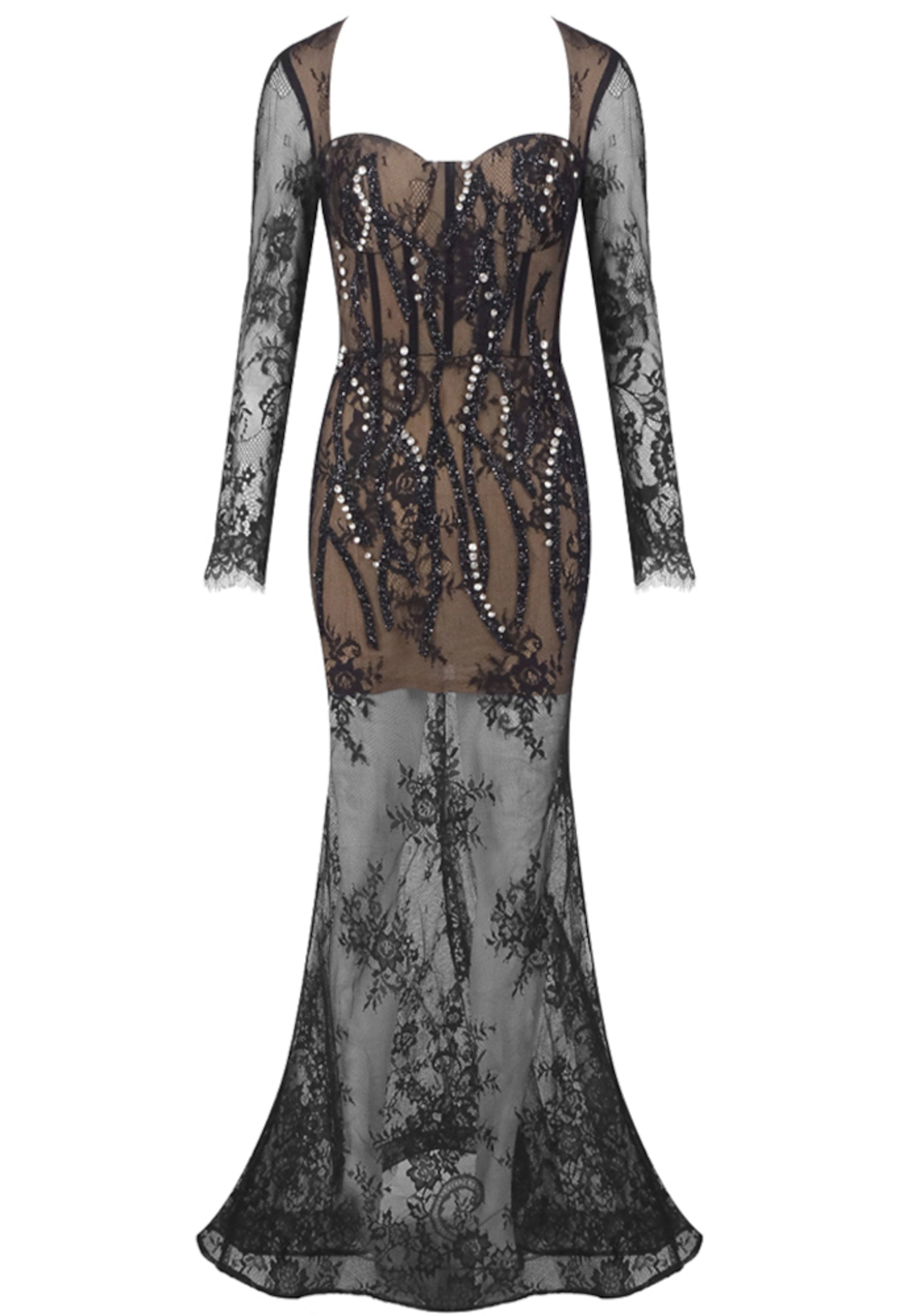 Rendor Long Sleeve Crystal Lace Maxi Dress In Black