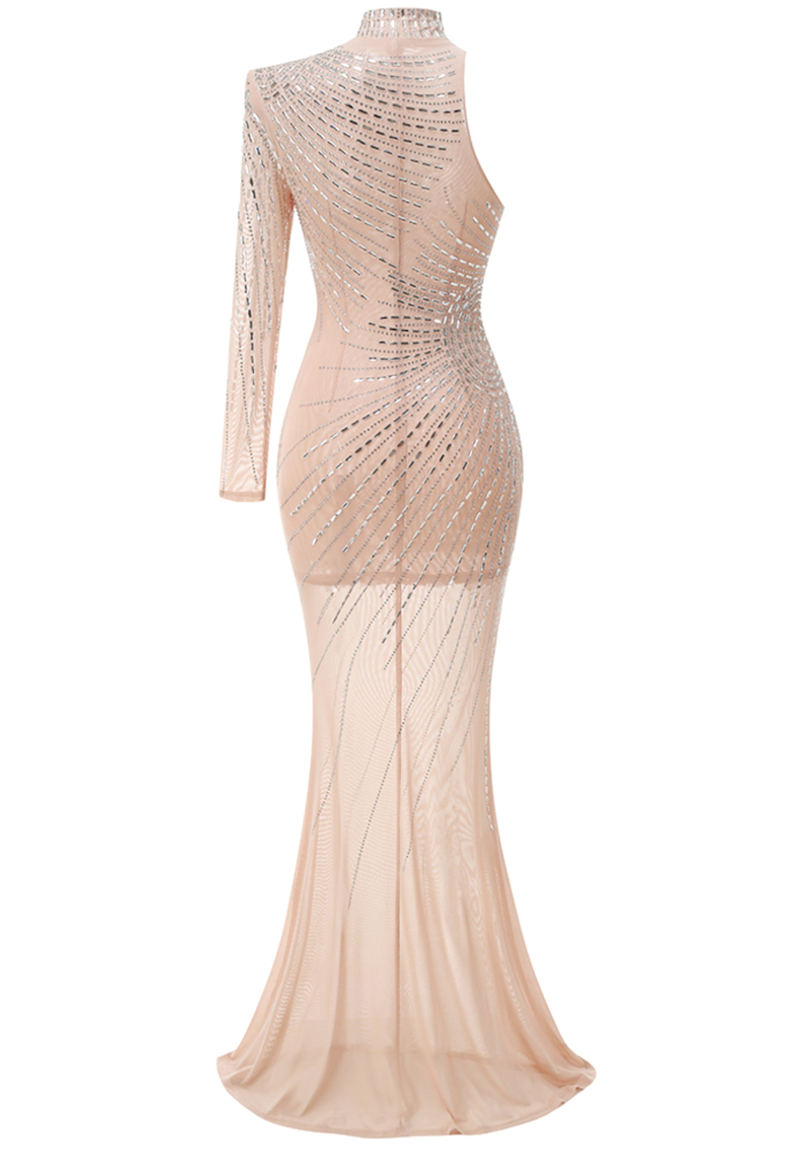 Harini One Sleeve Embellished Mesh Maxi Dress In Nude