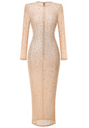 Hilaria Long Sleeve Crystal Mesh Maxi Dress In Nude