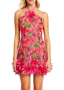 Raziya Halter Floral Embroidered Mini Dress In Hot Pink