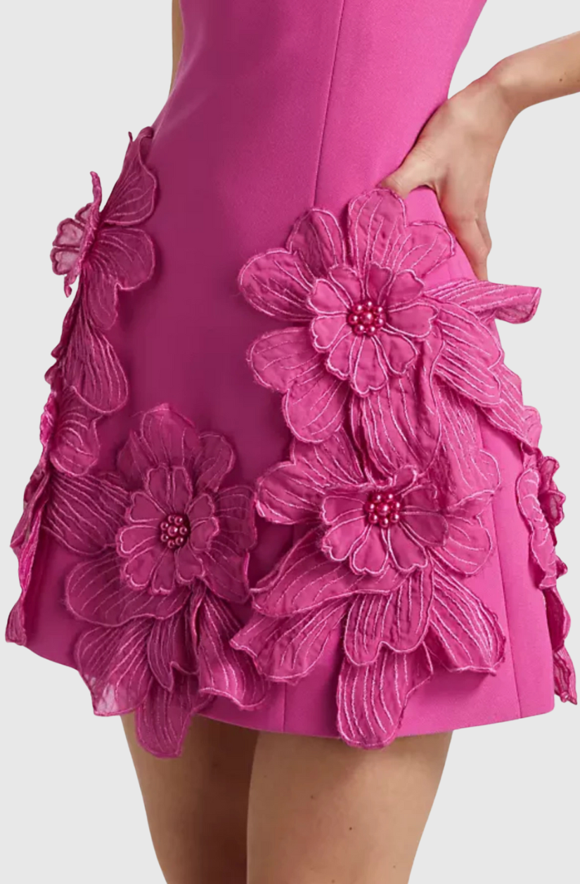 Eliava Floral Appliqué Mini Dress In Pink