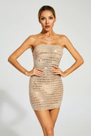 Boris Champagne Diamond Mini Dress