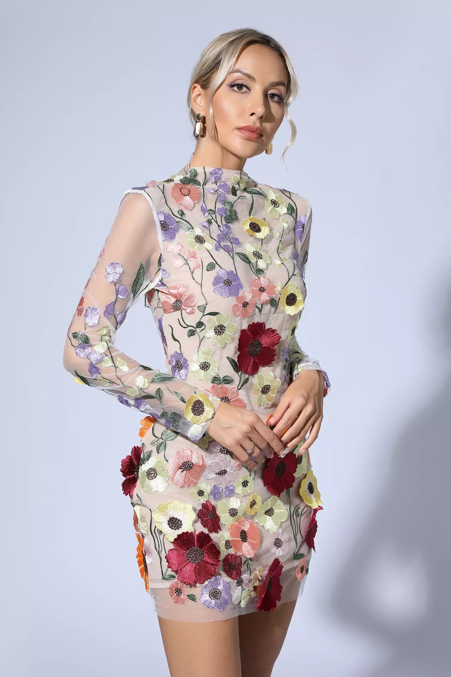 Pava Embroidered Lace Half High Collar Mini Dress