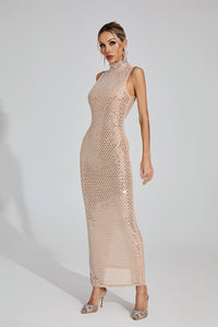 Gelistar Party Maxi Dress In Apricot