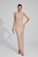 Gelistar Party Maxi Dress In Apricot