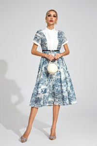 Barney Printed Maxi Dress