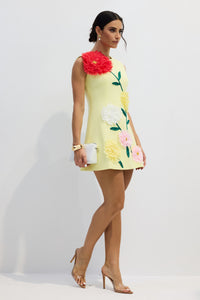 Cesca Floral Applique Sleeveless Mini Dress