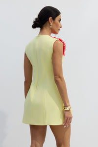 Cesca Floral Applique Sleeveless Mini Dress