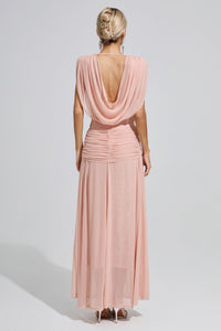 Fredrica Pink Sleeveless Ruched Maxi Dress