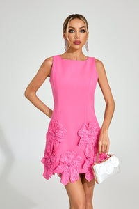 Dyren Floral Applique Mini Dress In Pink