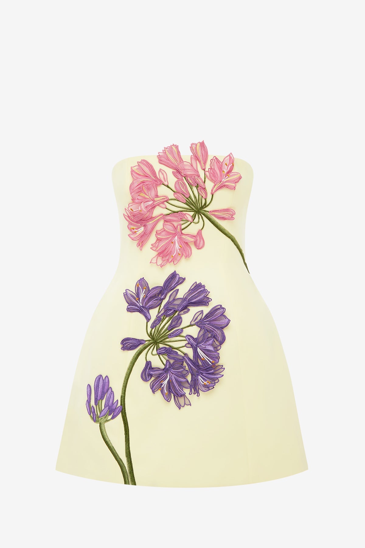 Maevik Appliqué Bustier Mini Dress