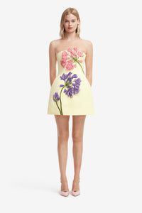 Maevik Appliqué Bustier Mini Dress
