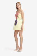 Maevik Appliqué Bustier Mini Dress