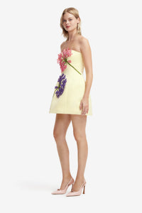 Maevik Appliqué Bustier Mini Dress