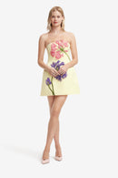 Maevik Appliqué Bustier Mini Dress