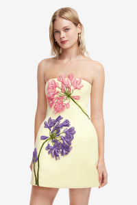 Maevik Appliqué Bustier Mini Dress