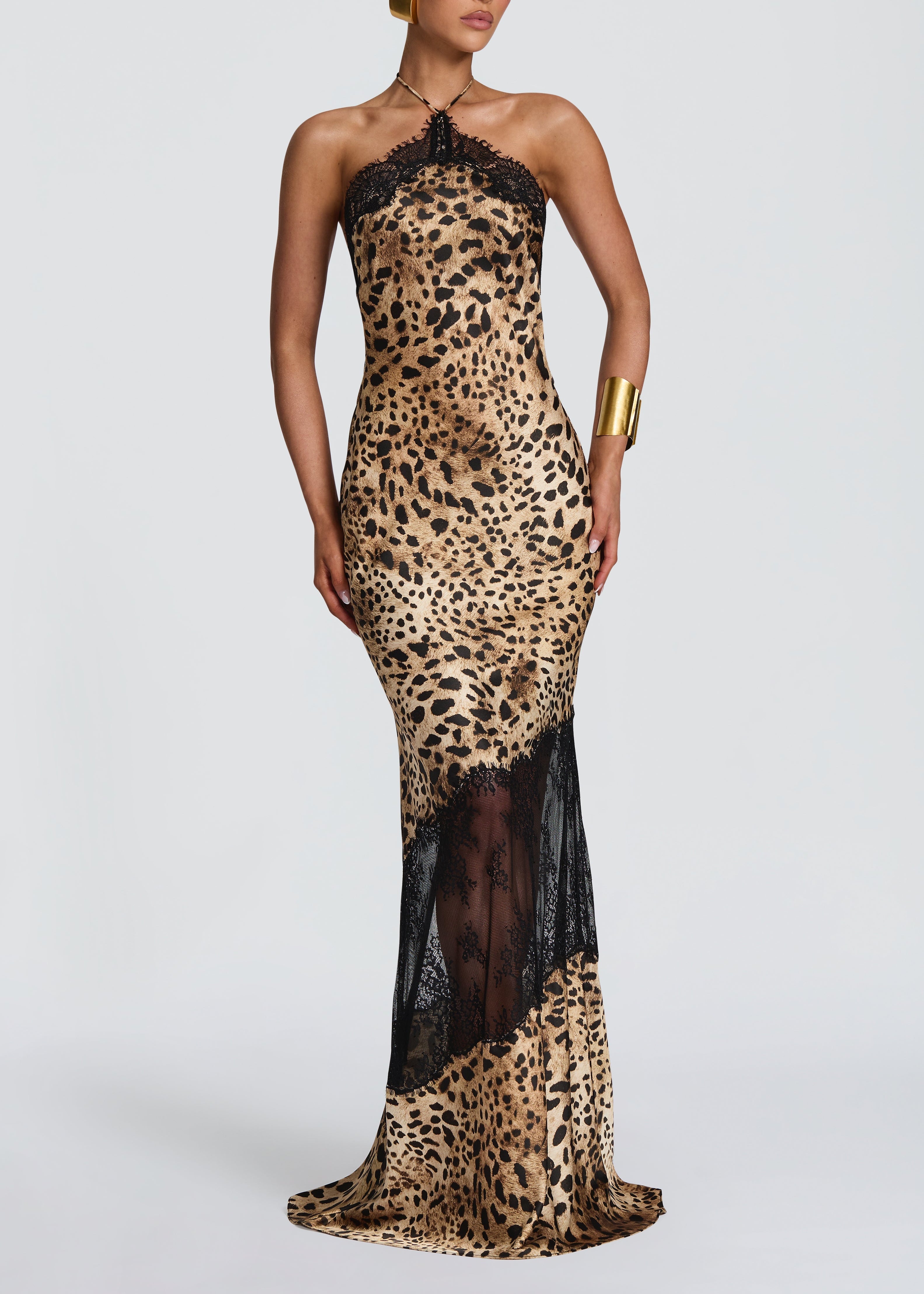 Glikieria Leopard-Print Panel Lace Maxi Dress