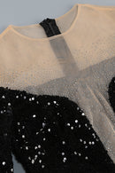 Canika Sequin Feather-Embellished Mini Dress