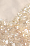 Swann Sequin Slip Maxi Dress