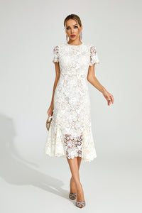 Daldris Lace Mermaid Dress In Apricot