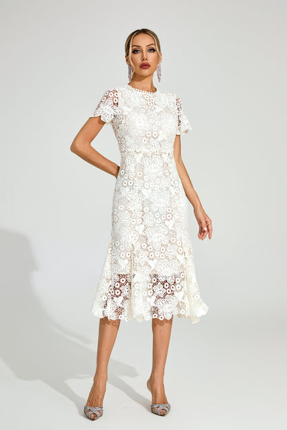 Daldris Lace Mermaid Dress In Apricot