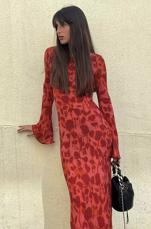 Sofia Long Sleeve Rose Printed Maxi Dress