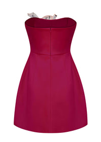 Eliezra Pink Floral Embroidered Mini Dress