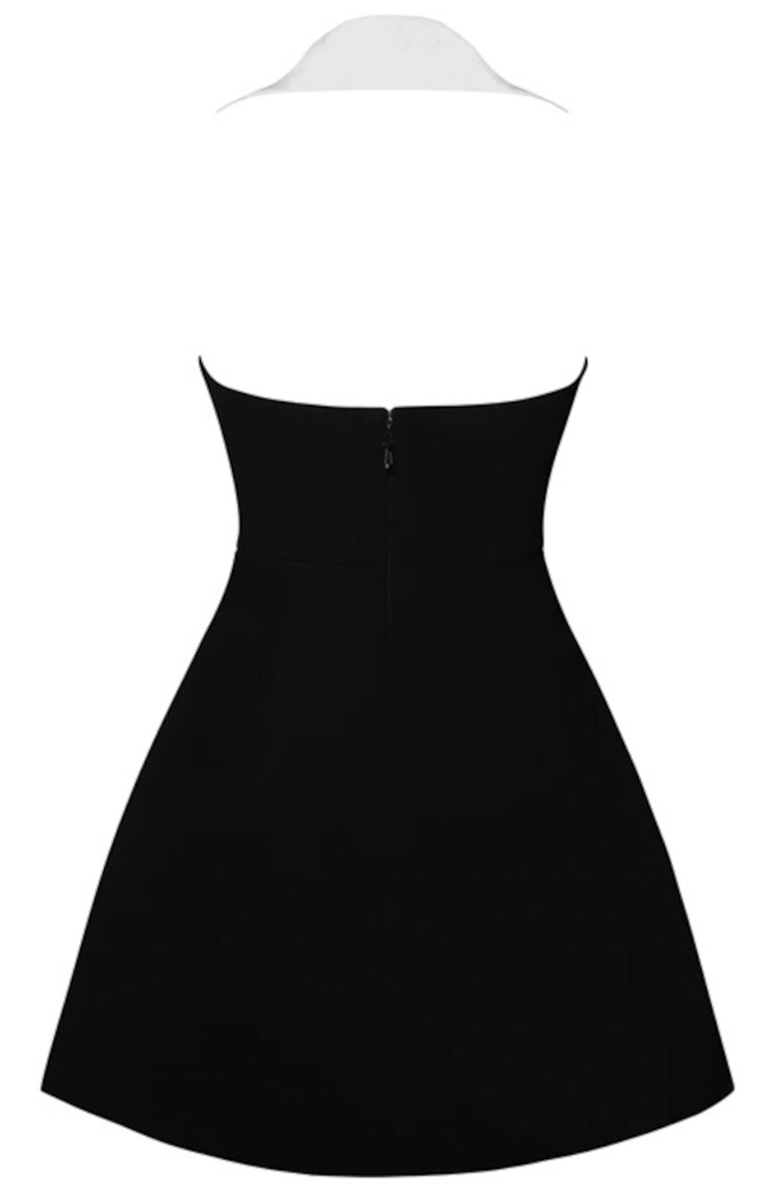 Ahmaud Halter Lapel Collar Mini Dress In Black White
