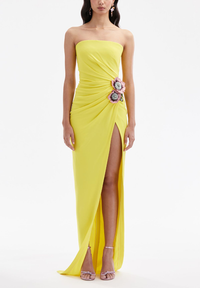 Aaron Embroidered Floral Maxi Dress