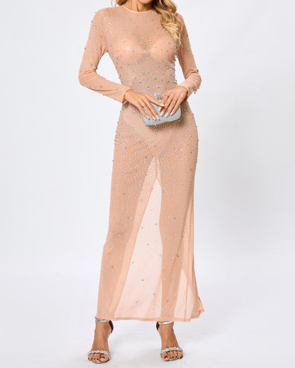 Hilaria Long Sleeve Crystal Mesh Maxi Dress In Nude