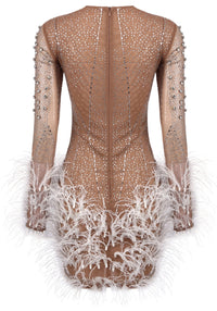 Bairbre Long Sleeve Crystal Feather Dress In Nude White