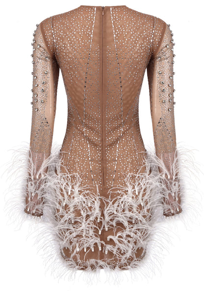 Bairbre Long Sleeve Crystal Feather Dress In Nude White