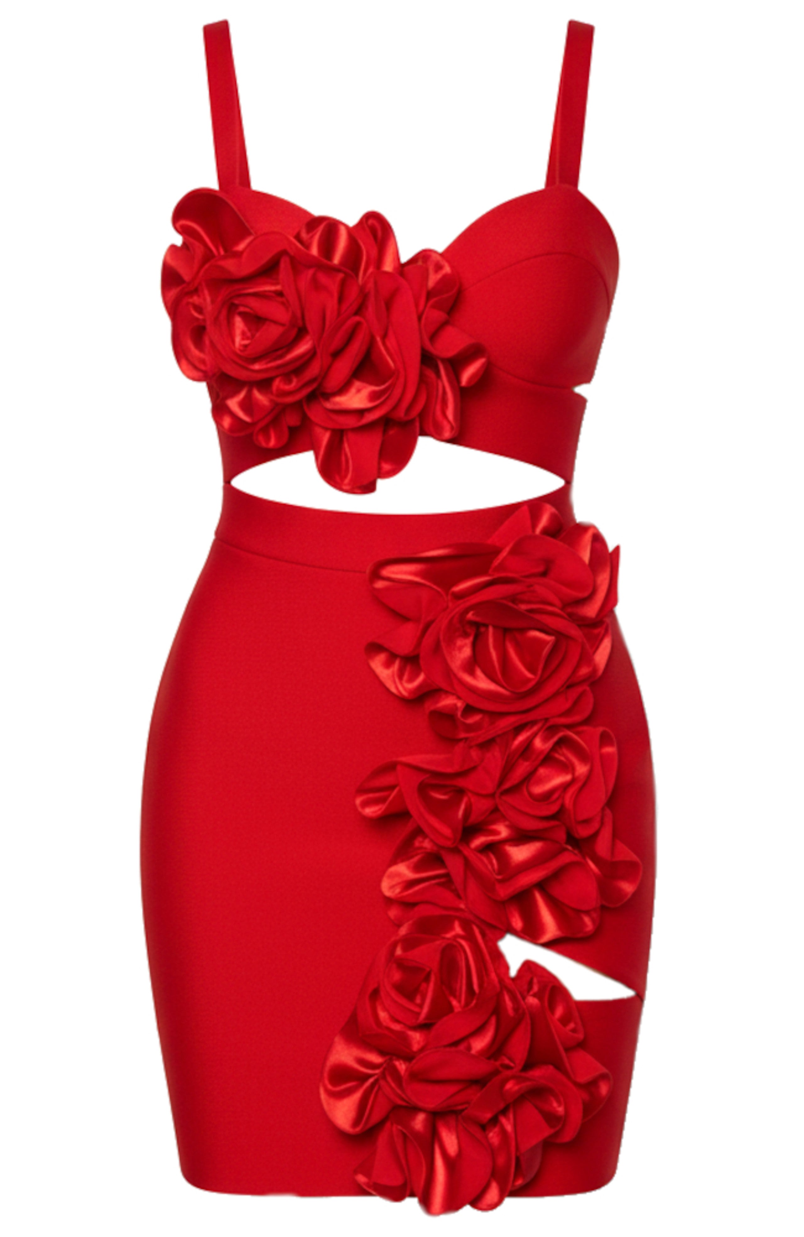Ronelyn Floral Ruffle Mini Dress In Red